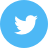 Twitter Icon